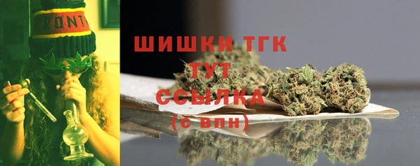 прущий лед Арсеньев