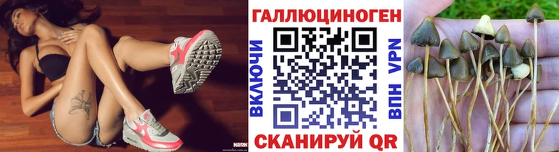 Галлюциногенные грибы ЛСД  Арсеньев 